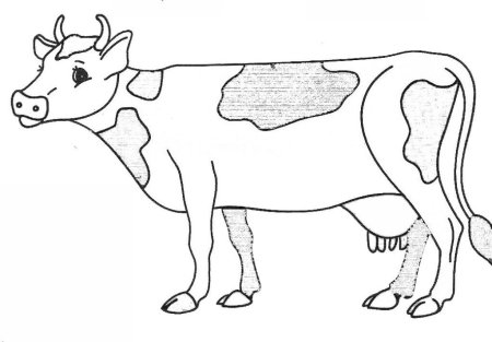 Трафарет коровы для детей (44 фото)