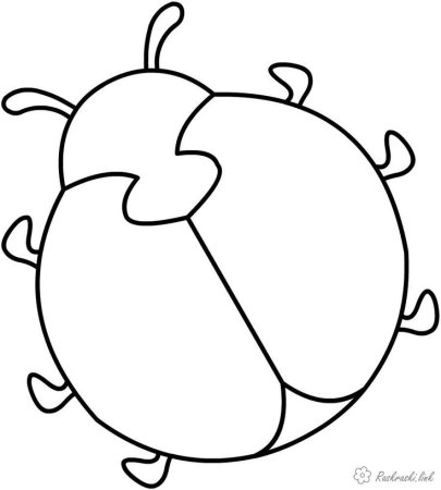 Раскраска Божья коровка для детей 3-4 лет