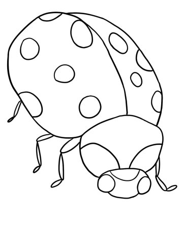 Божья коровка раскраска