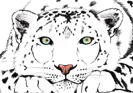 Снежный Барс рисунок для детей