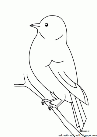Птицы для раскрашивания