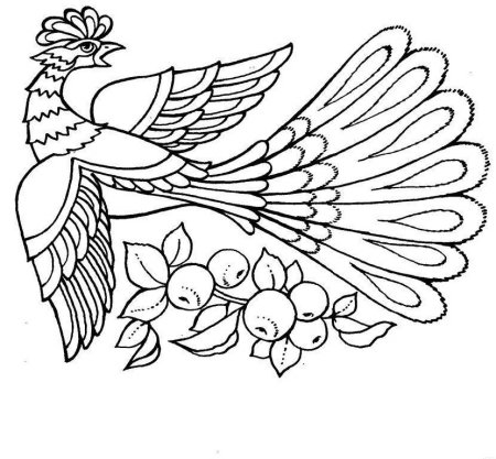 Раскраска павлина