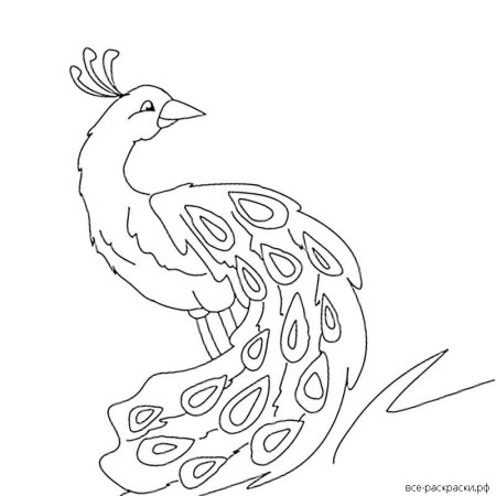 Сказочная птица раскраска