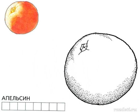 Веселые апельсинки раскраска