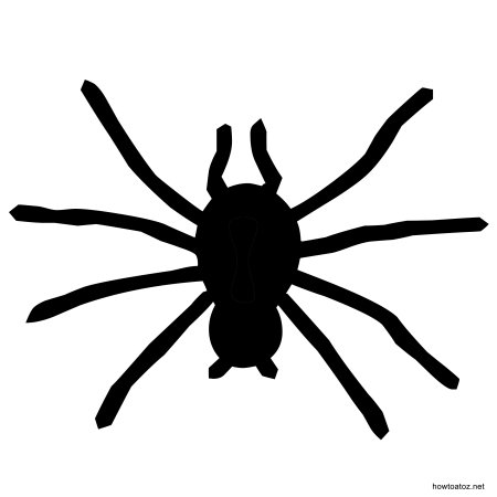 Трафарет паука для детей (48 фото)