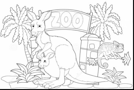 Coloring book раскраски