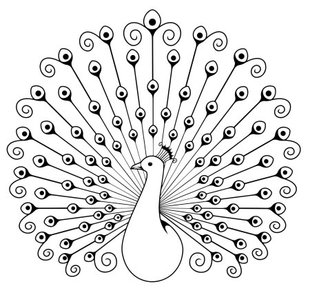 Раскраска павлина
