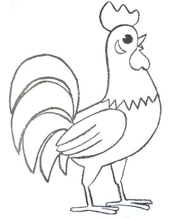 Петух рисунок