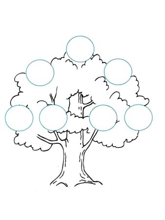 Рисование генеалогического дерева