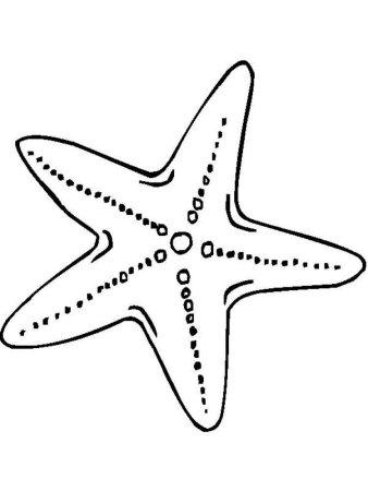 Морская звезда раскраска