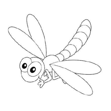 Стрекоза раскраска