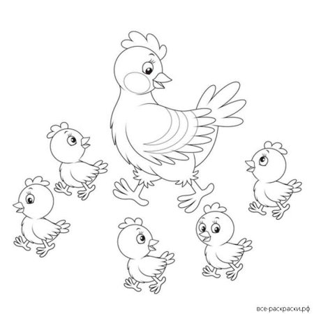 Курица с цыплятами раскраска для детей