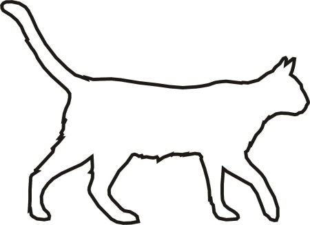 Контур кошки сбоку