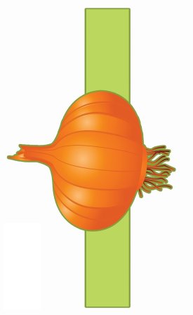 Маски овощи для детского сада