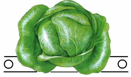 Маски овощи для детского сада