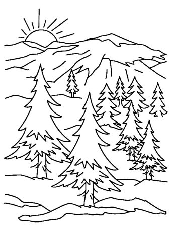 Зимний лес раскраска