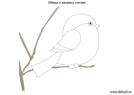 Задания для детей зимующие птицы для детей