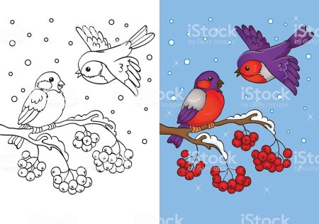 Трафарет зимующих птиц для детей (44 фото)