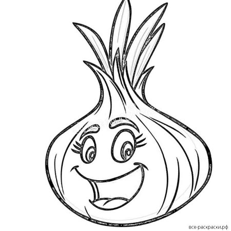 Лук репчатый Чиполлино