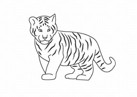 Тигр. Раскраска