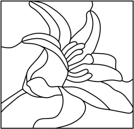 Кинусайга схемы для начинающих цветы