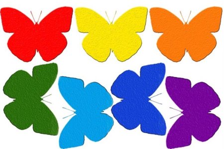 Бабочки разных цветов