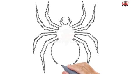 Паук рисунок легкий