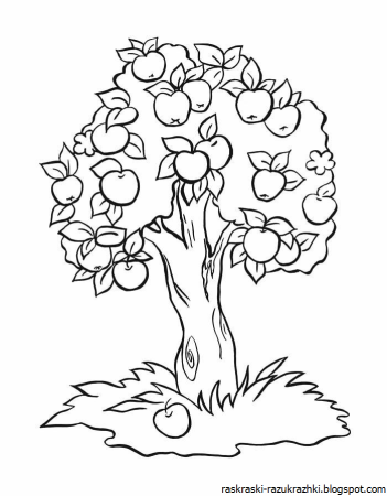 Tree Worksheet