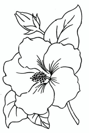 Контуры для рисования цветы