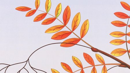Рисование ветки средняя группа
