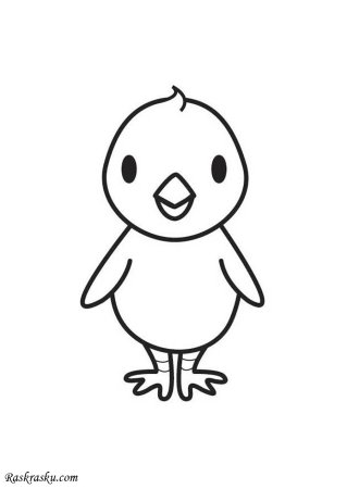 Цыпленок раскраска для детей