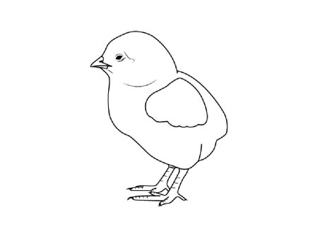 Цыпленок раскраска для малышей