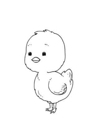 Цыпленок контур