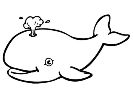 Трафарет кита для рисования (43 фото)