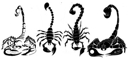 Трафарет скорпиона для рисования (45 фото)