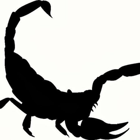 Наклейка Скорпион