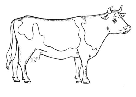Трафарет коровы для рисования (45 фото)
