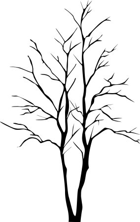 Трафарет дерева без листьев для рисования (43 фото)