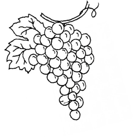Трафарет виноград
