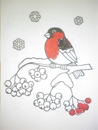 Трафарет снегиря для рисования (39 фото)