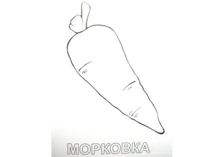 Морковь шаблон