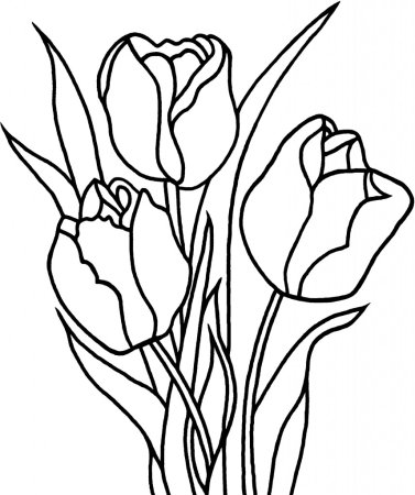 Трафарет тюльпана для рисования (45 фото)