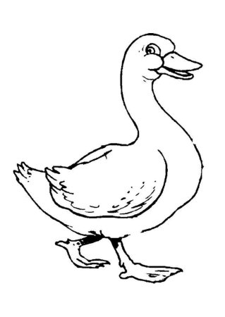 Гусь эскиз