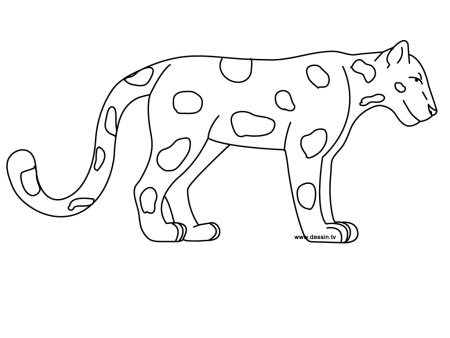 Трафарет гепарда для рисования (46 фото)