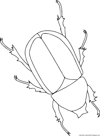 Трафарет жука для рисования (44 фото)