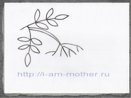 Веточка рябины без ягод