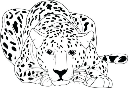 Трафарет леопарда для рисования (47 фото)