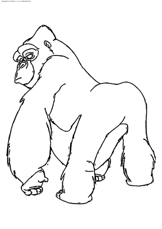 Трафарет гориллы для рисования (39 фото)