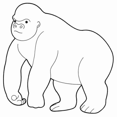 Горилла раскраска