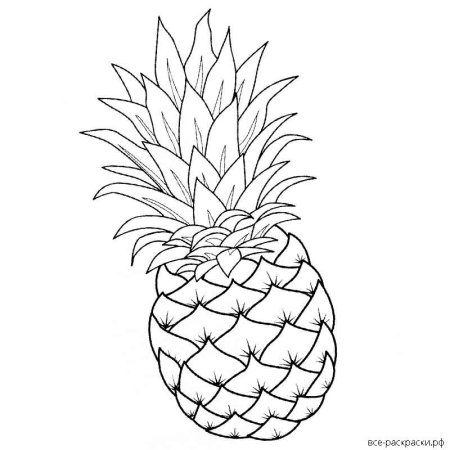 Раскраска антистресс ананас